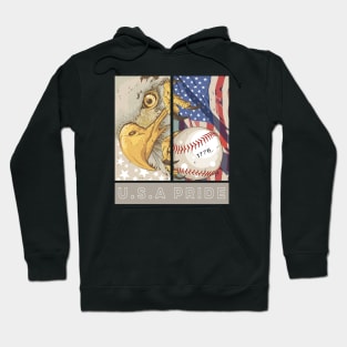 USA Pride Fourth of July American Nationhood Day Hoodie